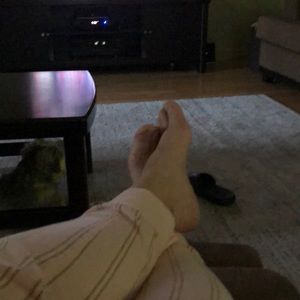 Meet your Posher, Dominique